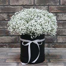 Цветочная композиция из Гипсофила в шляпной коробке в Набережной